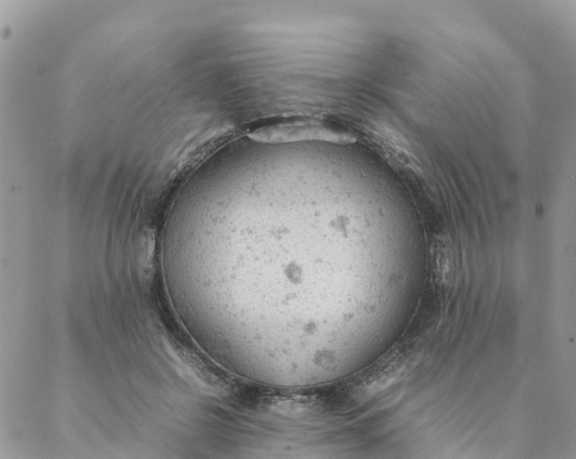 X0000087310550200705041652