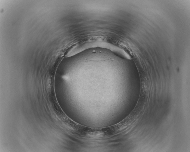 X0000087310551200705041652