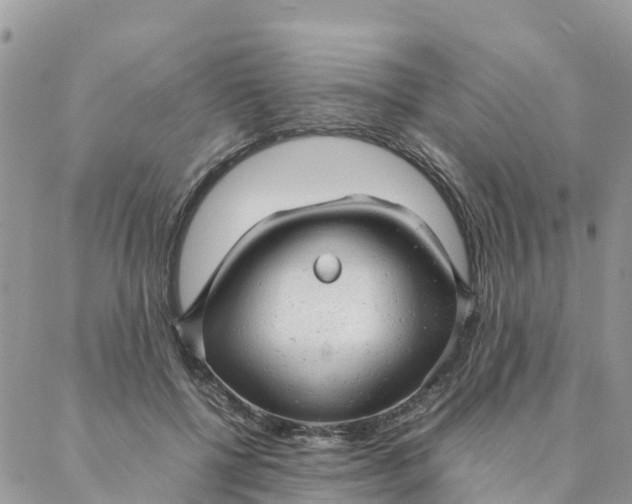 X0000087310552200705041652