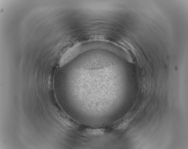 X0000087310553200705041652