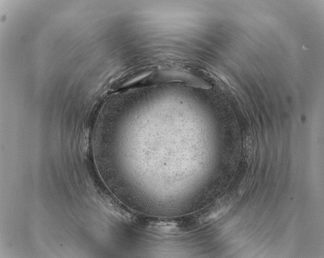 X0000087310554200705041652