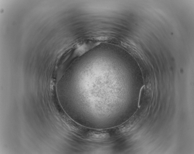 X0000087310555200705041652