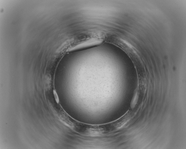 X0000087310556200705041652