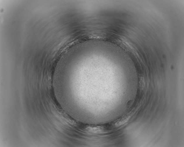 X0000087310557200705041652