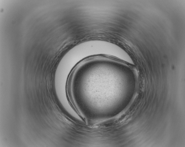 X0000087310558200705041652