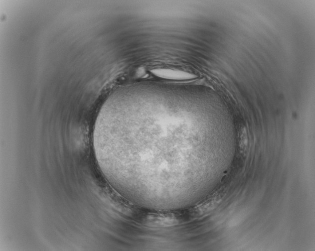 X0000087310559200705041652