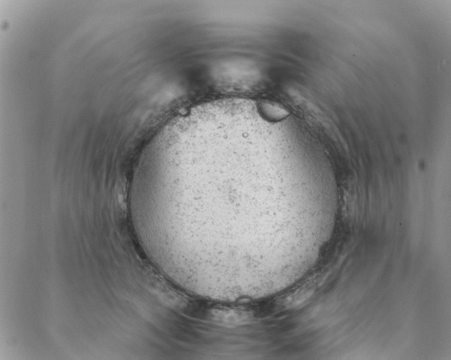 X0000087310561200705041652