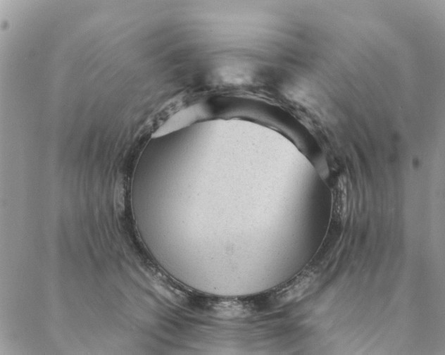 X0000087310562200705041652