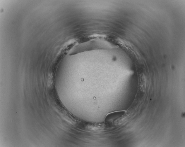 X0000087310563200705041652