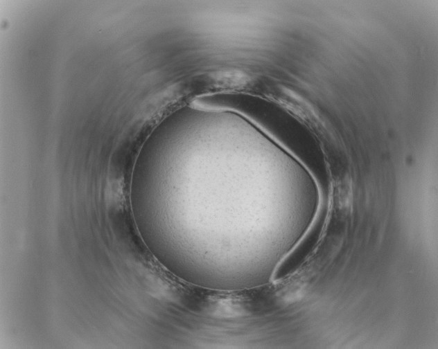 X0000087310564200705041652