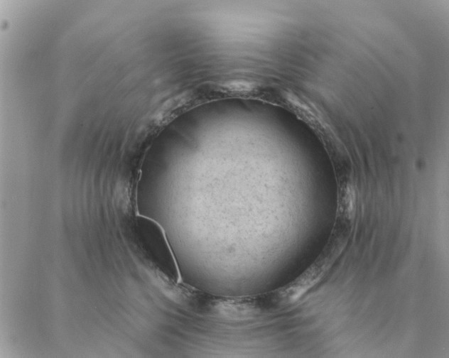 X0000087310568200705041652