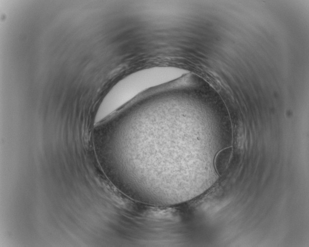 X0000087310569200705041652