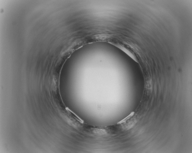 X0000087310572200705041652