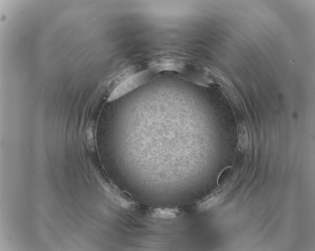 X0000087310573200705041652