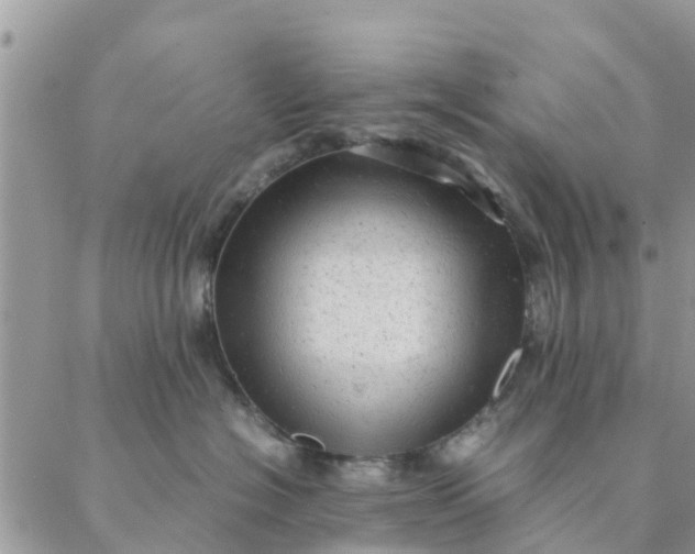 X0000087310574200705041652