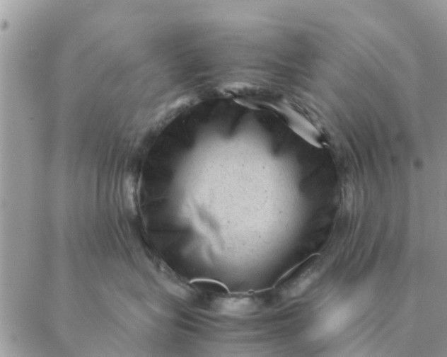 X0000087310575200705041652