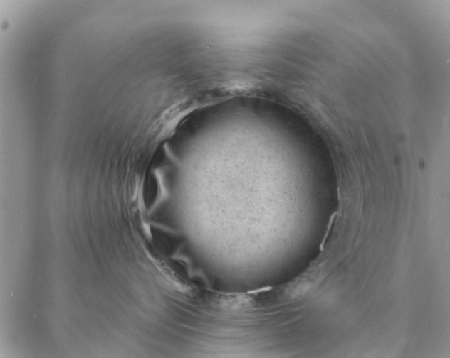 X0000087310576200705041652