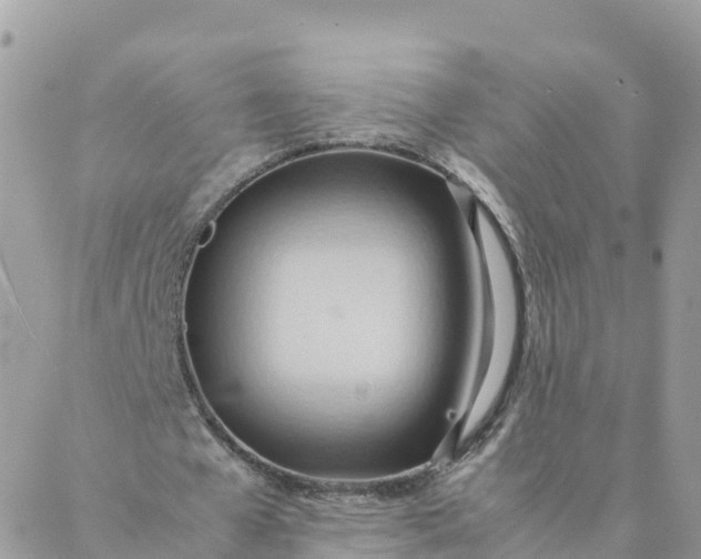 X0000087310577200705041652