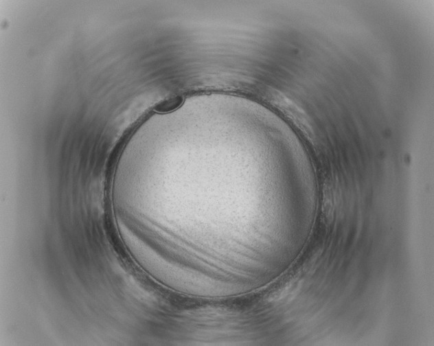 X0000087310578200705041651