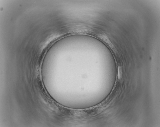 X0000087310579200705041651