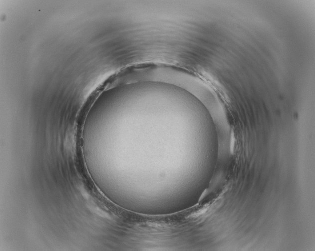 X0000087310580200705041651