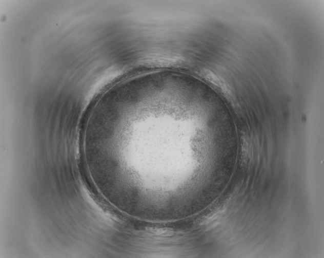 X0000087310582200705041651