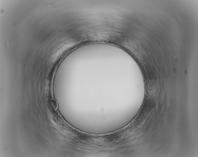 X0000087310583200705041651