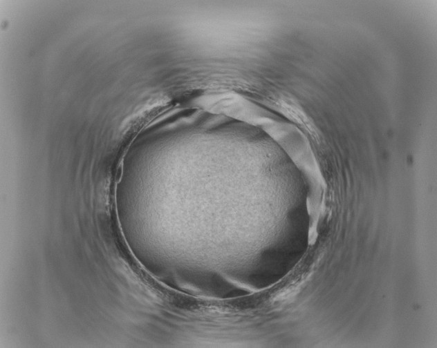 X0000087310585200705041651