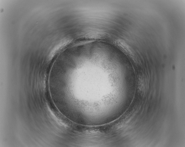 X0000087310586200705041651