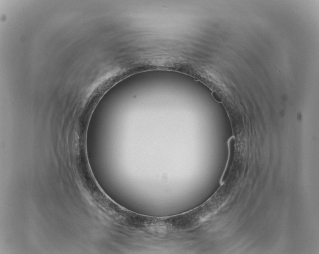 X0000087310587200705041651