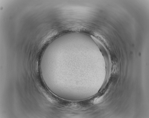 X0000087310589200705041651