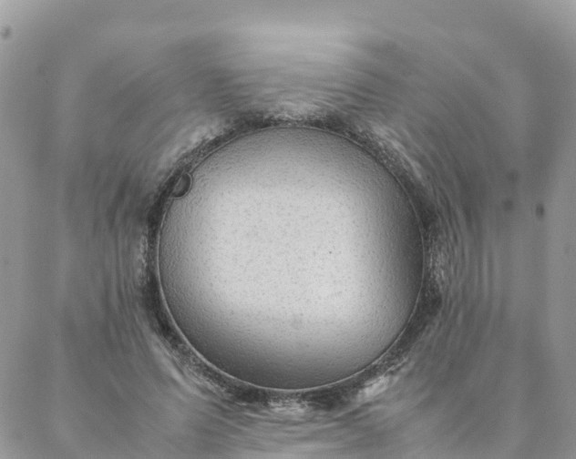 X0000087310591200705041651