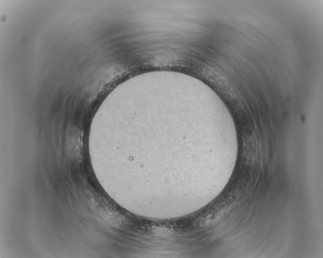 X0000087310592200705041651