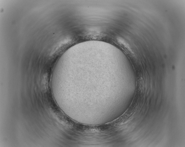 X0000087310594200705041651