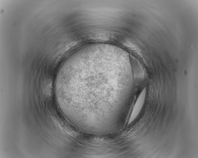 X0000087310596200705041651