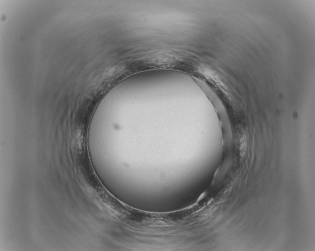 X0000087310597200705041651