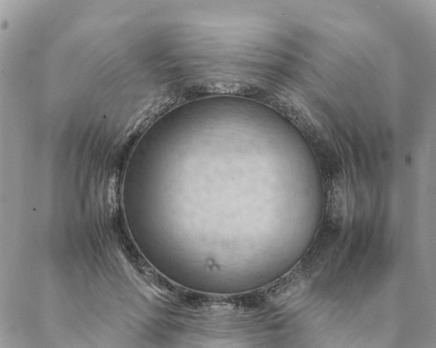 X0000087310598200705041651