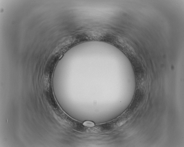 X0000087310599200705041651