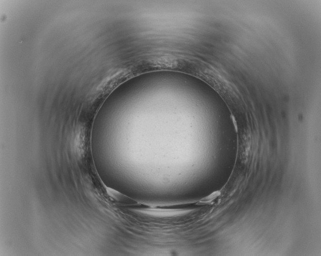 X0000087310600200705041651