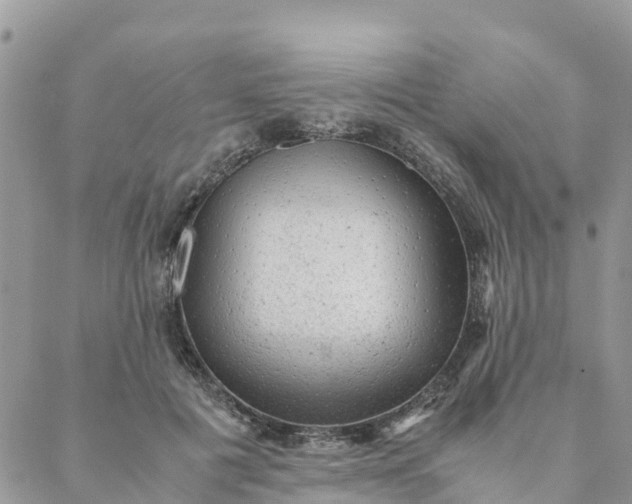 X0000087310601200705041651