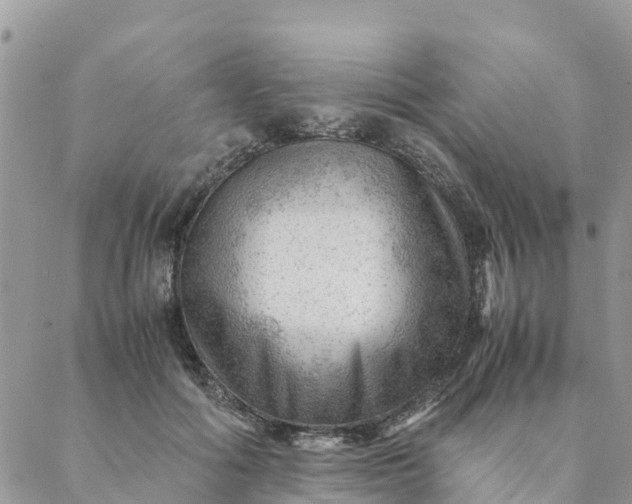 X0000087310602200705041651