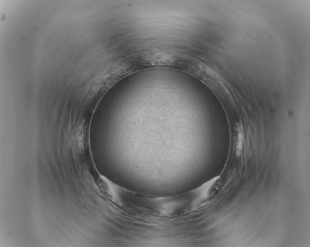 X0000087310604200705041651