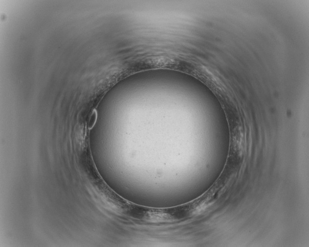 X0000087310605200705041651