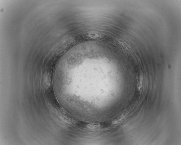 X0000087310606200705041651