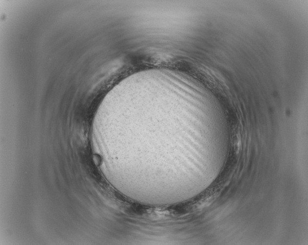 X0000087310607200705041651