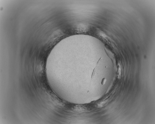 X0000087310608200705041651