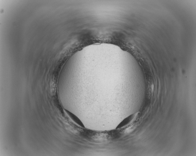 X0000087310609200705041651