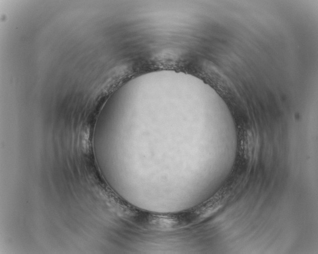 X0000087310610200705041651