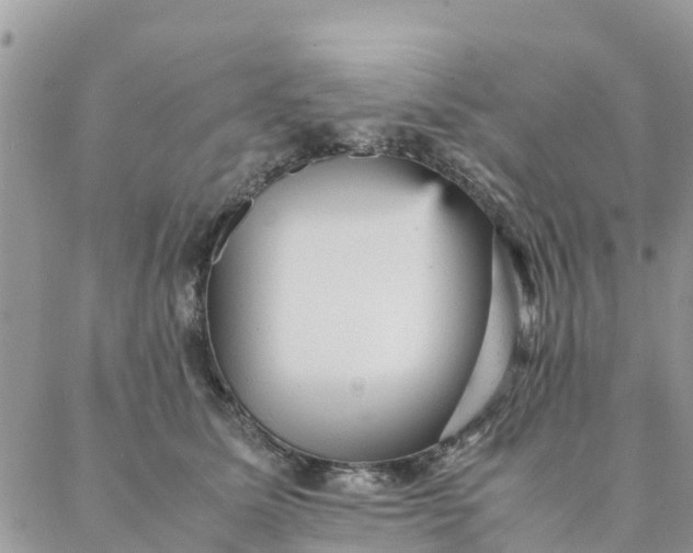 X0000087310611200705041651