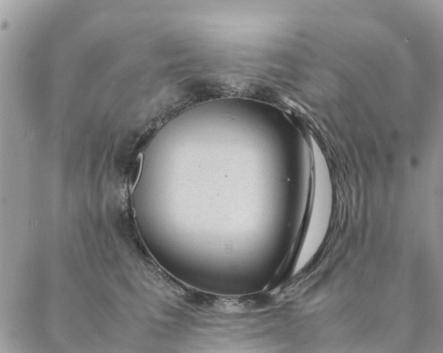 X0000087310613200705041651